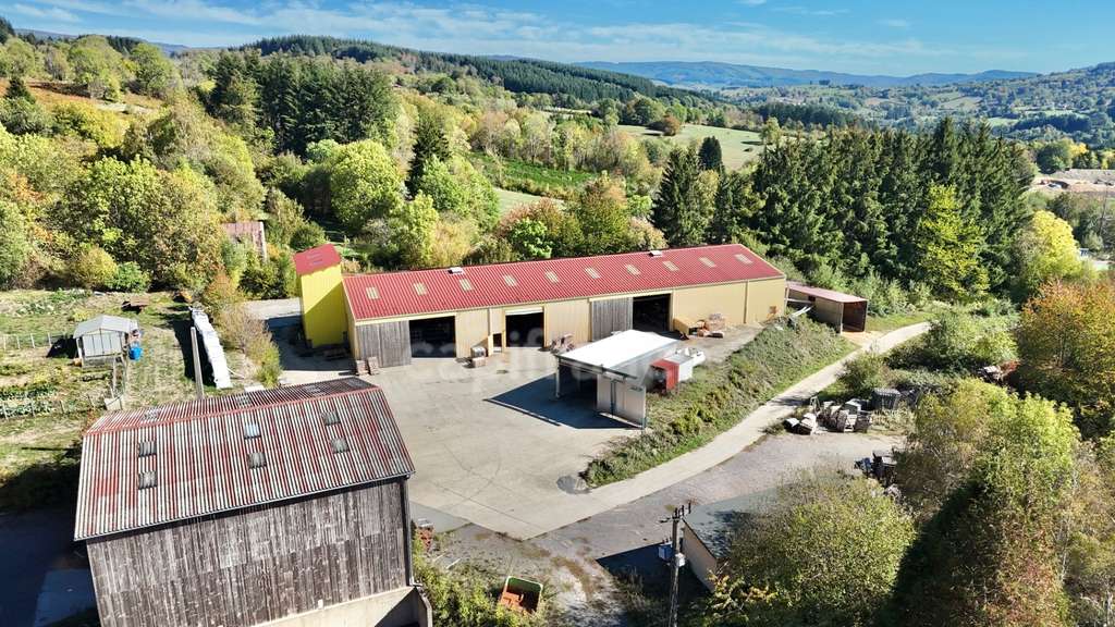 BÂTIMENTS INDUSTRIELS DE 1 815 M², TERRAIN DE 10 3