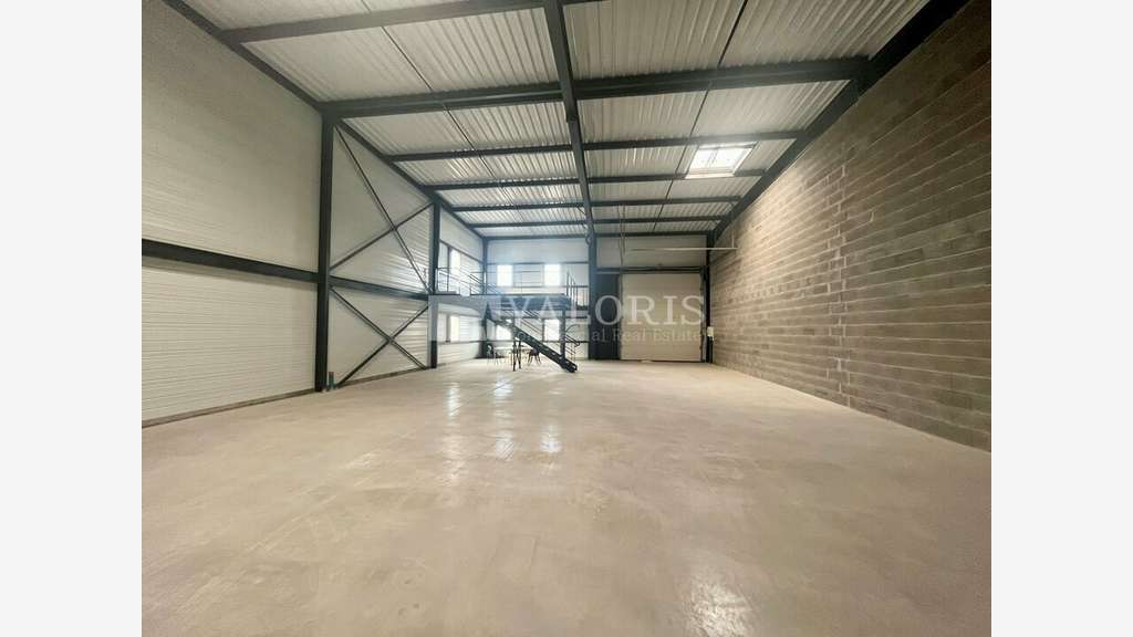 Cellules dès 280m² à vendre Plaine de l'Ain A42 