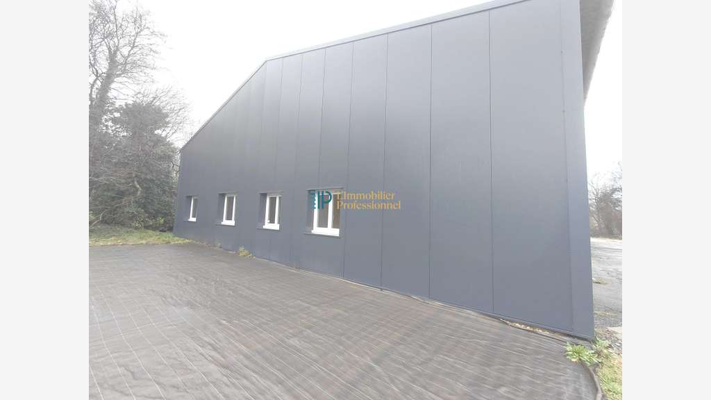 Vente local d'activité de 458m² en ZA à Saint Yvi