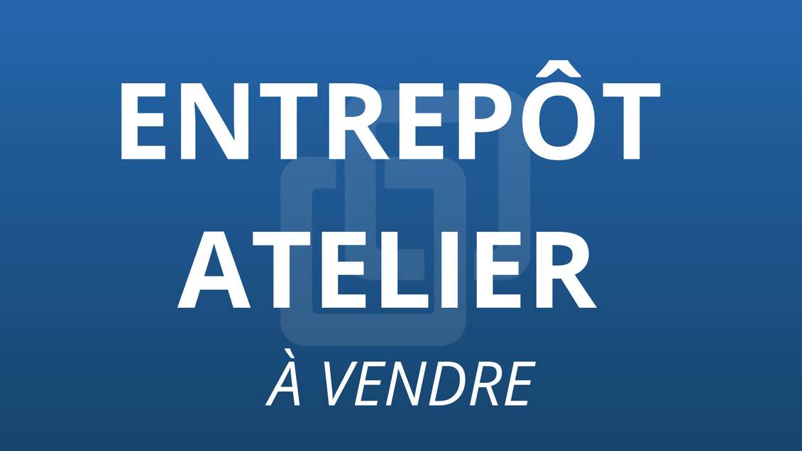 Local d'activité 531 m² + terrasse 120m²