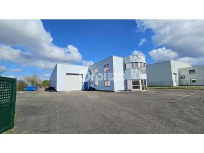 Vente Locaux d'activités - Entrepôts à Sausheim