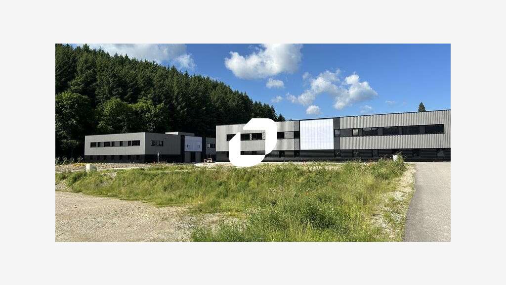Vente Local d'activité 446m² Tarare