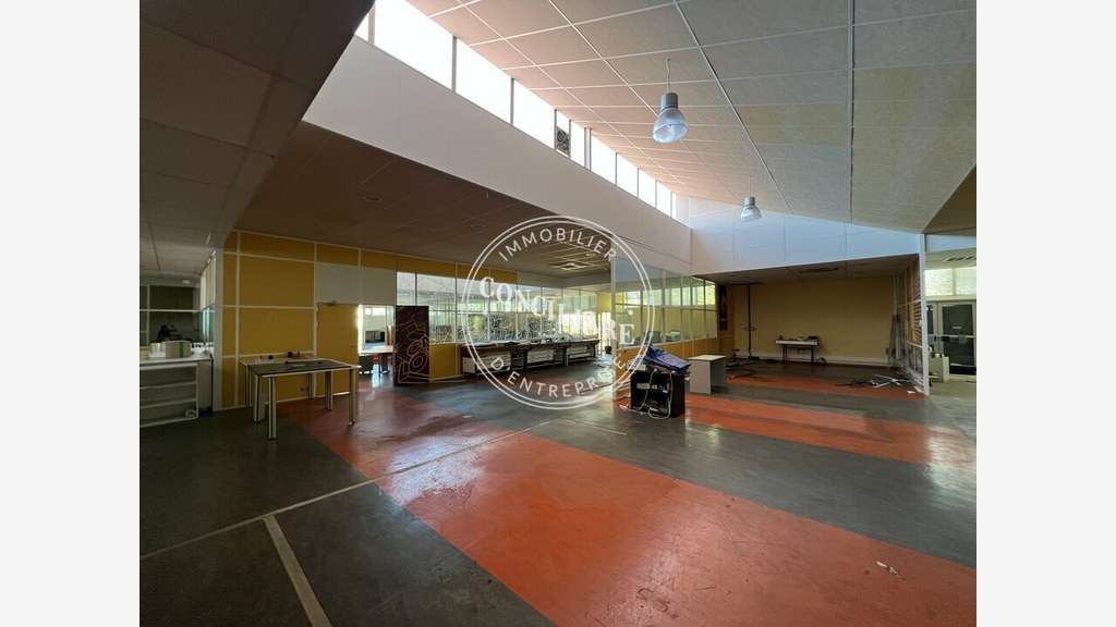 Vente locaux d'activités 600m² Toulouse Sud Ouest