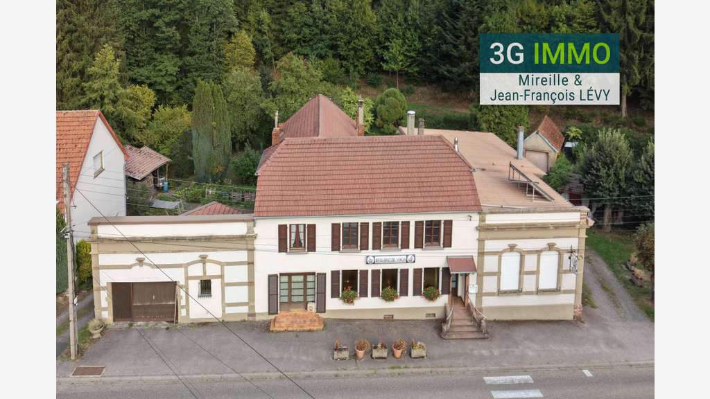 Vente local activité à Troisfontaines Vallerysthal