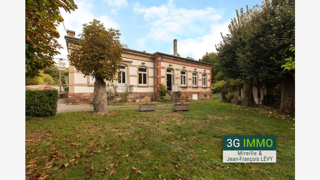Vente local activité à Troisfontaines Vallerysthal