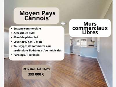 AV murs commerciaux 80m² zone commerciale Valbonne