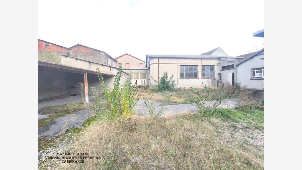 VIERZON - Grands plateaux à rénover pour un p