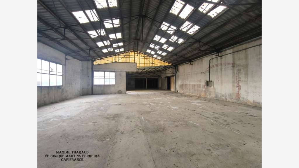VIERZON - Grands plateaux à rénover pour un p