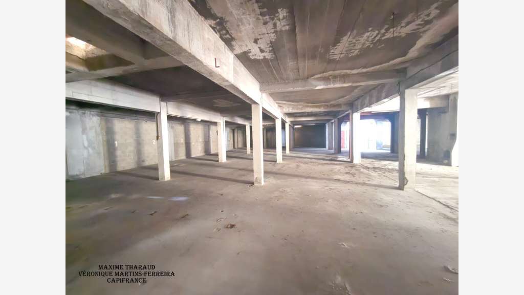 VIERZON - Grands plateaux à rénover pour un p