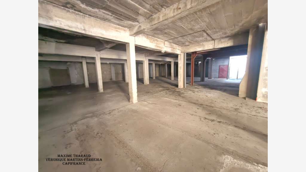 VIERZON - Grands plateaux à rénover pour un p