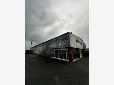 Vente local d'activité 1000m² 0 Langueux N12