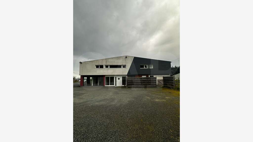 Vente local d'activité 1000m² 0 Langueux N12 