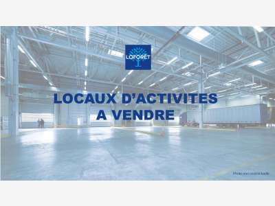 Vente local d'activité 1600m² à Languidic N24 