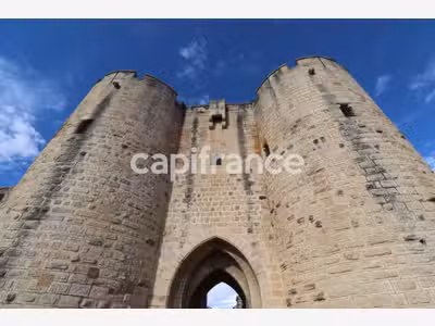 A vendre murs commerciaux Cité d'Aigues-Mortes