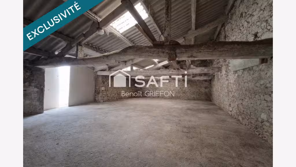 Vente ensemble pro 860m² fort potentiel à Boussay 