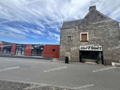 Vente Locaux commerciaux - Boutiques à Allaire