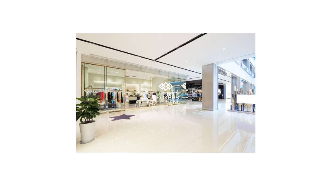 Galerie commerciale du Perrier à Annemasse 