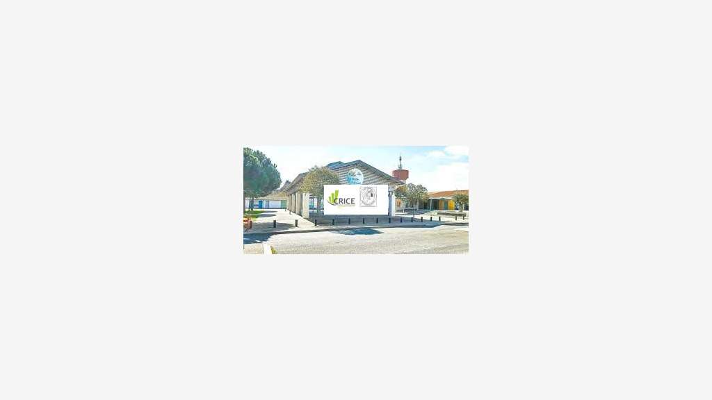 LOCAL COMMERCIAL A VENDRE