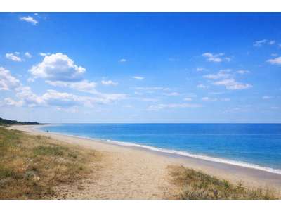 Vente Locaux commerciaux - Boutiques à Guérande