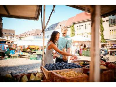 Vente Locaux commerciaux - Boutiques à Avignon