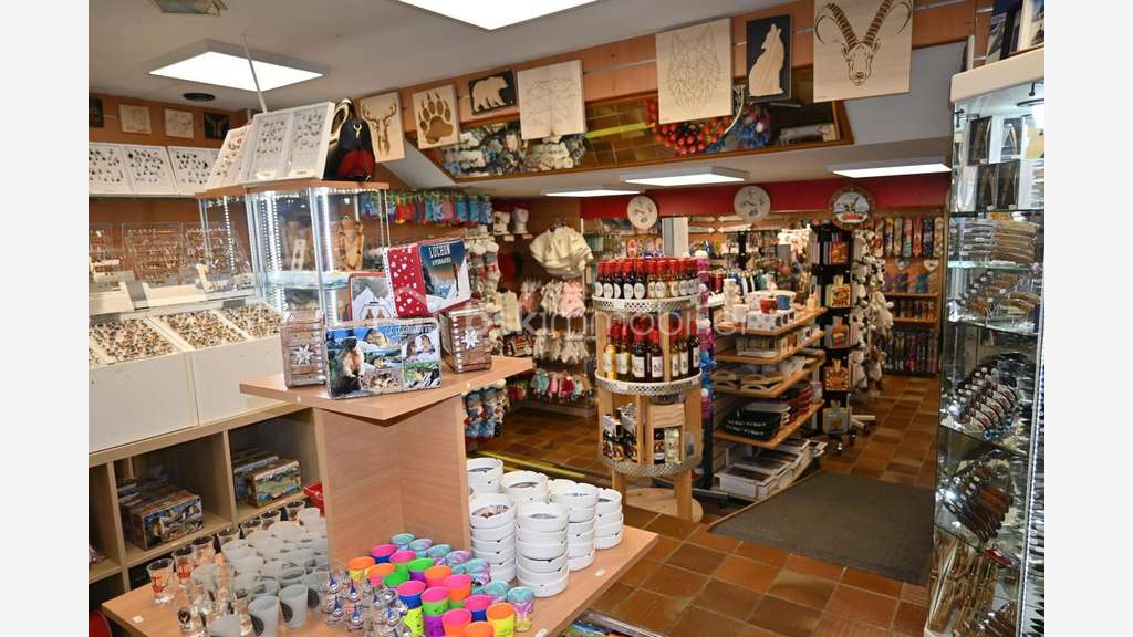Vente local commercial