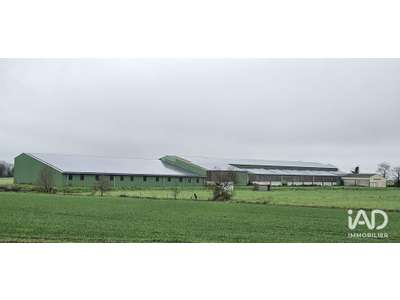 Vente Locaux commerciaux - Boutiques à Beaufou