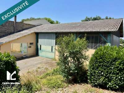 Vente Locaux d'activités - Entrepôts à Belleville-en-Beaujolais
