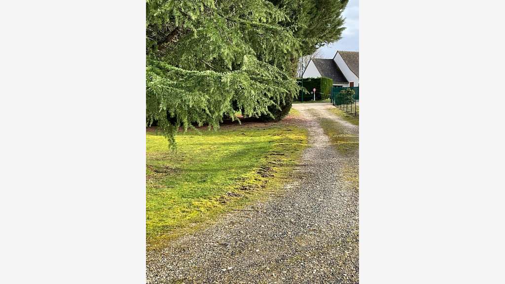 Vente local commercial 150m² Belleville-sur-Loire