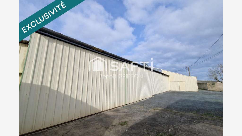 Vente ensemble immobilier rénové 860m² à Boussay