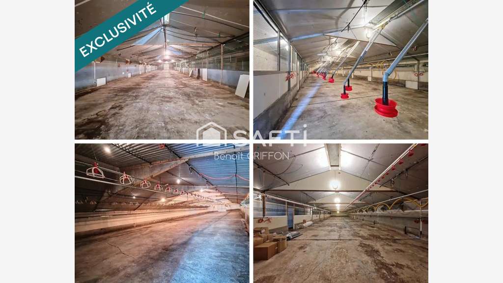 Vente ensemble agricole sur 9 ha clôturés Boussay
