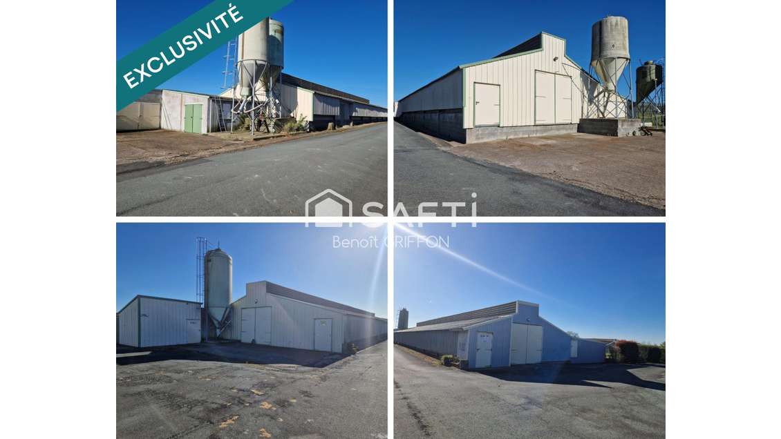 Vente ensemble agricole sur 9 ha clôturés Boussay