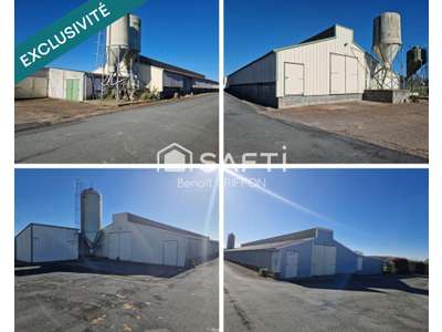 Vente Locaux d'activités - Entrepôts à Boussay