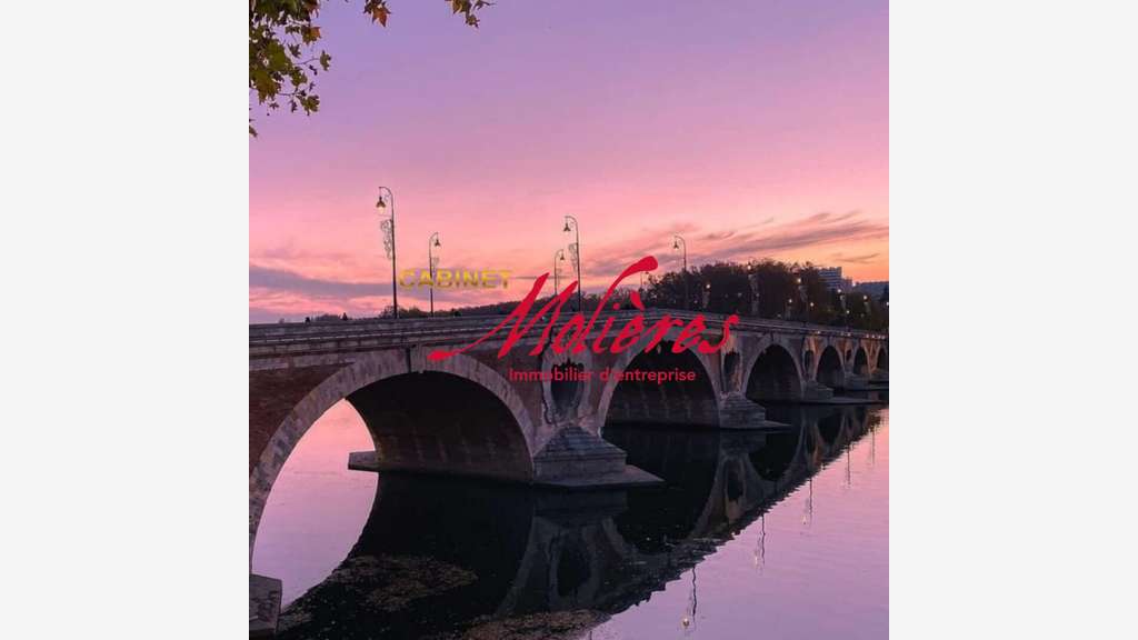 Belle bâtisse toulousaine avec activité restau.