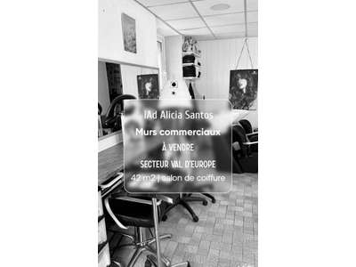 Vente Locaux commerciaux - Boutiques à Bussy-Saint-Georges