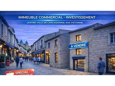 Vente Locaux commerciaux - Boutiques à Carcassonne