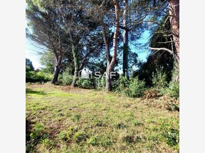 Vente local à rénover 150m² à Castanet-Tolosan