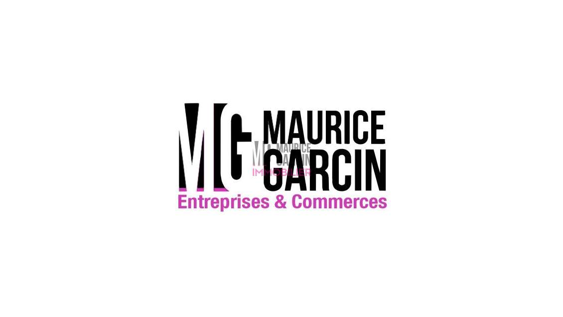 Immobilier Professionnel à vendre