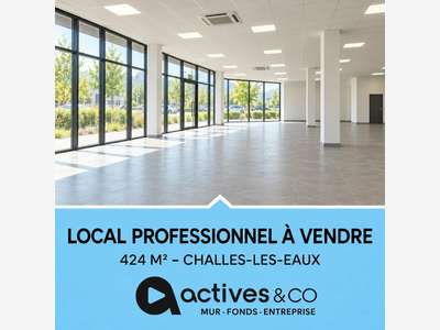LOCAL COMMERCIAL à vendre dans le 73