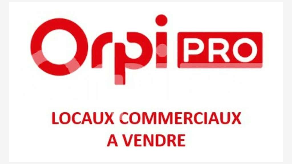 AV locaux commerciaux 50-200m² Clermont l'Hérault
