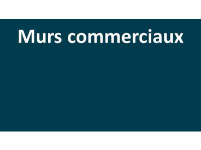 Vente Locaux commerciaux - Boutiques à Coulombiers