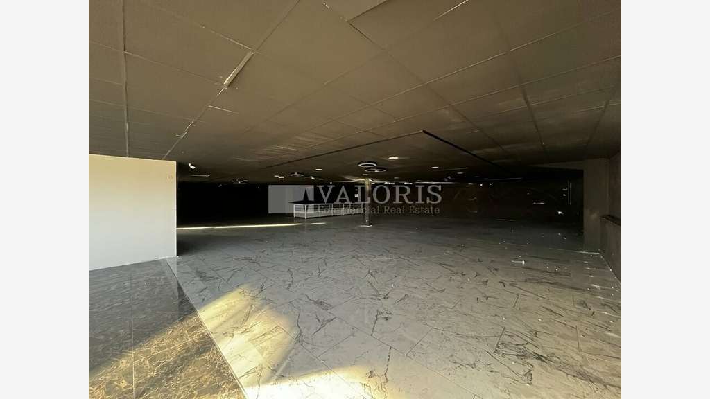 AV local commercial 1545m² Crêches sur Saône