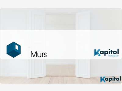 Murs Brasserie + 2 appartements - Dept 94