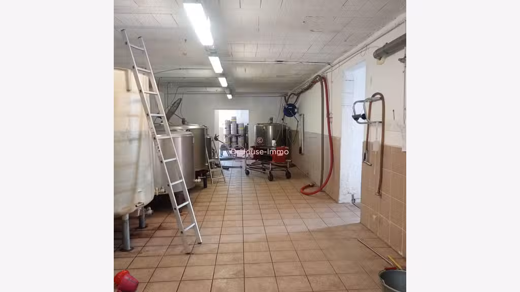 Vente murs commerciaux avec locataire à Cussac