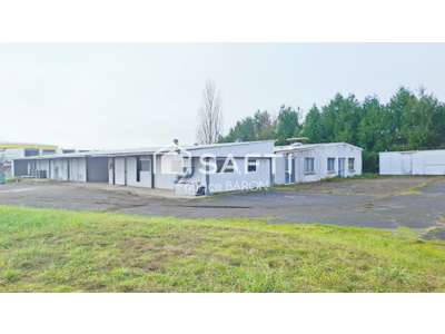 Vente Locaux d'activités - Entrepôts à Dissay