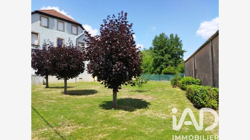 Vente murs commerciaux 546m² à Drulingen