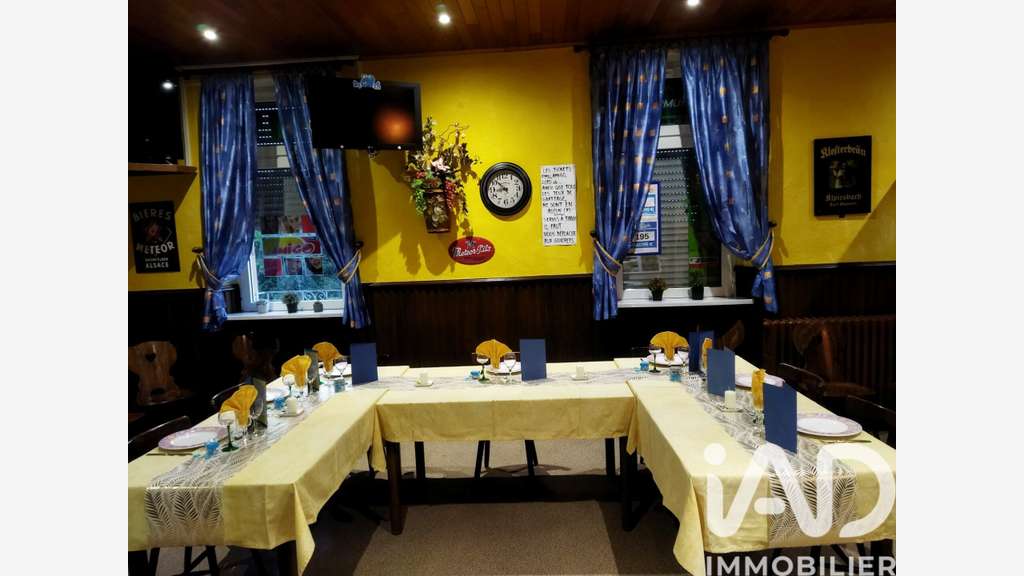 Vente murs commerciaux 546m² à Drulingen