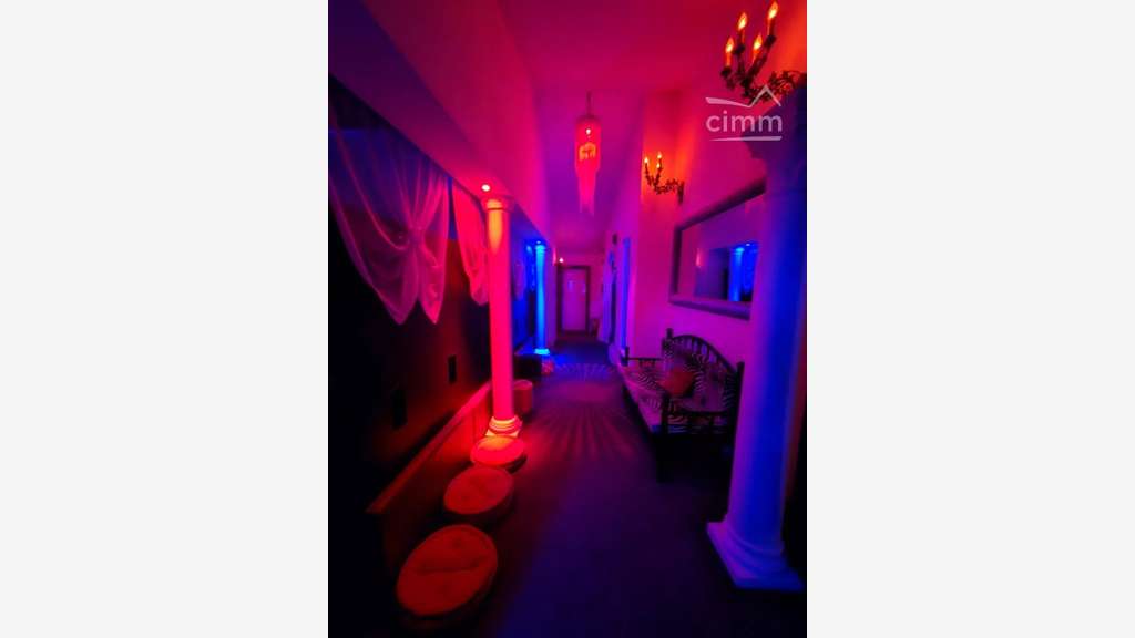 Vente local commercial discothèque à Fleurance