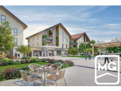 Vente Locaux commerciaux - Boutiques à Frangy