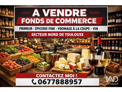 Vente Locaux commerciaux - Boutiques à Fronton