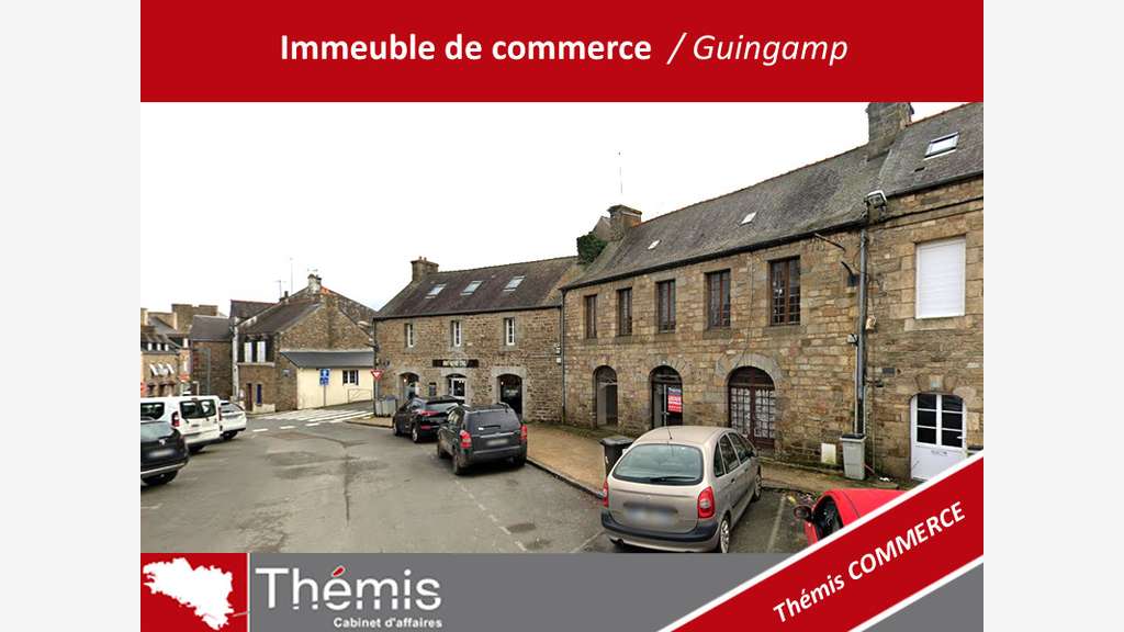 Immeuble a usage de commerce